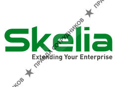 Skelia Ukraine