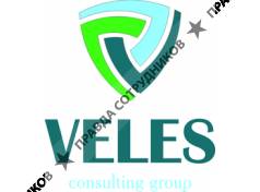 Beles Conculting group