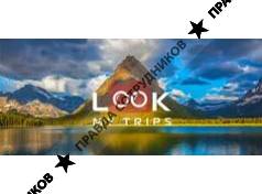 Lookmytrips 