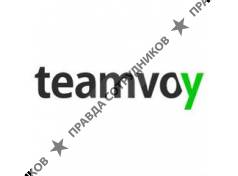 Teamvoy 