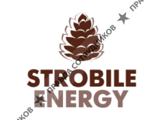 Strobile Energy