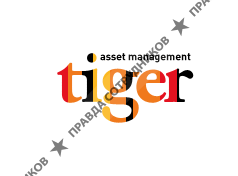 Tiger Asset Management