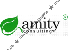 Amity™ Consulting