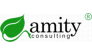 Amity™ Consulting