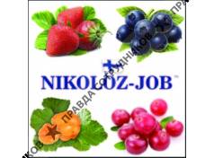 Nikoloz-job 