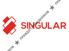 Singular Group