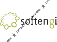 Softengi