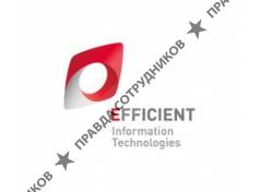Limited Liability Company EFFICIENT INFORMATION TECHNOLOGIES 