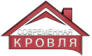 Современная кровля 