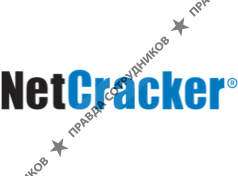 NetCracker Technology Corp.