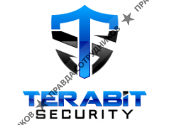 Terabit Security