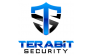 Terabit Security