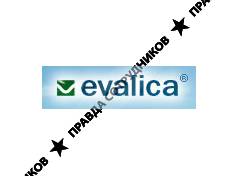 Evalica Ltd, JV