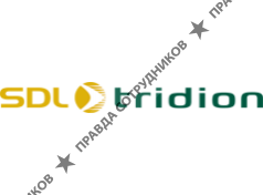Tridion Development Lab Ukraine SDL