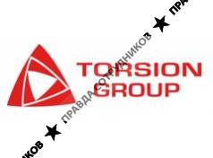 Torsion Group 