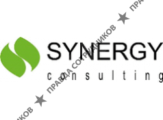 Synergy Consulting