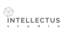 Интеллектус студия