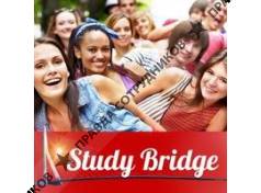 Study Bridge