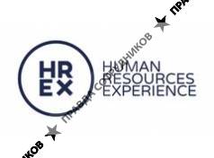 Human Resouces Experience 