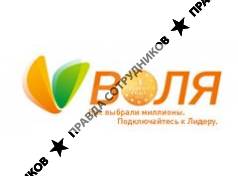 Воля, Телекоммуникационная компания
