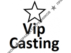 vip-casting.info 